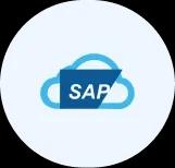 SAP category
