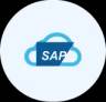 SAP category